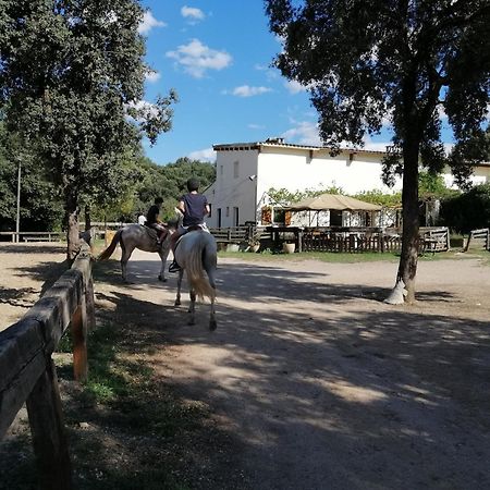 Casa Rural, Can Cirera Seriñá Dış mekan fotoğraf