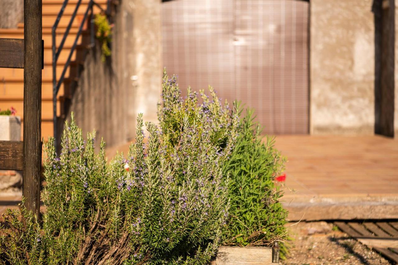 Casa Rural, Can Cirera Seriñá Dış mekan fotoğraf