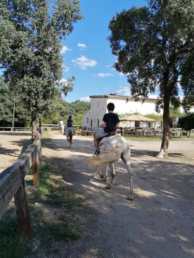 Casa Rural, Can Cirera Seriñá Dış mekan fotoğraf
