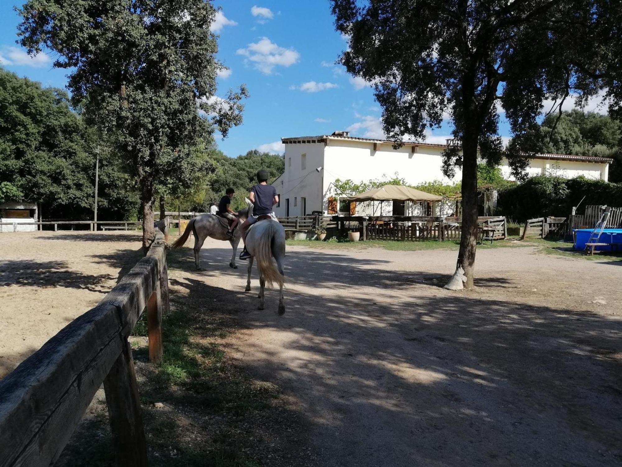 Casa Rural, Can Cirera Seriñá Dış mekan fotoğraf